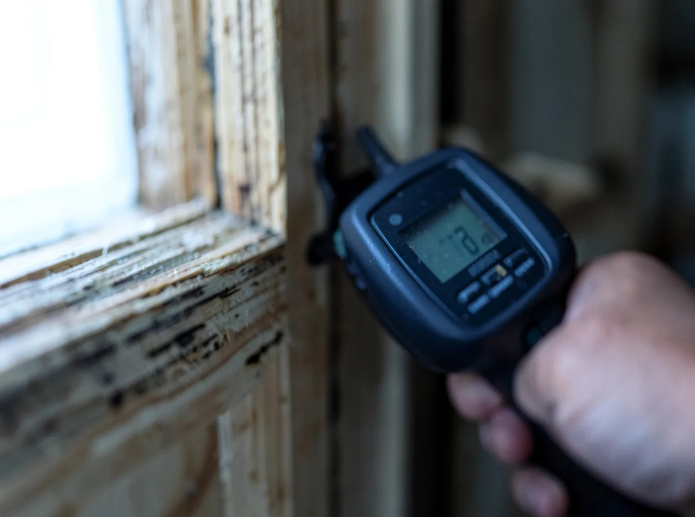 Moisture Inspection And Documentation in Deadwood, OR